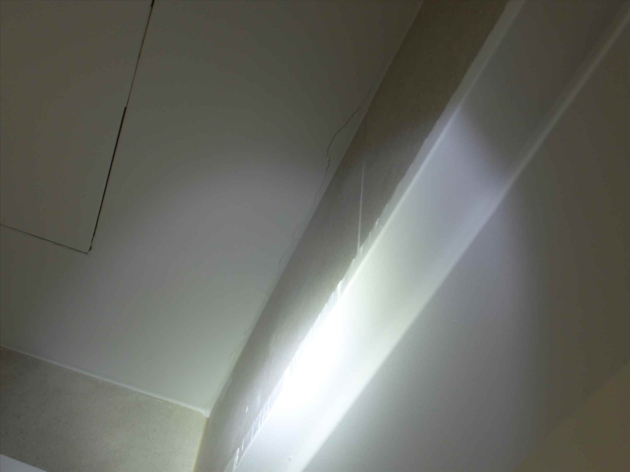 p1140591