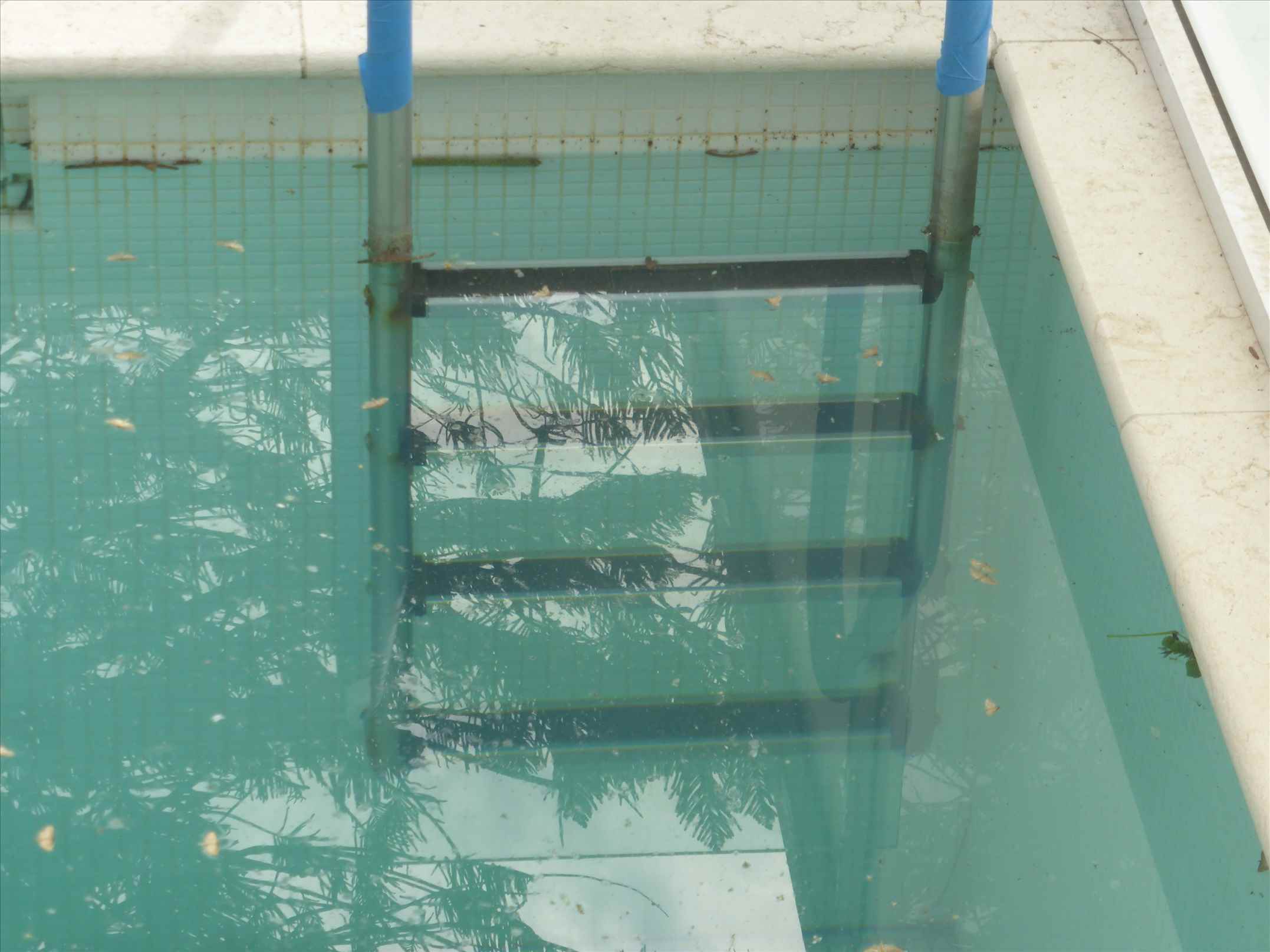 p1140701