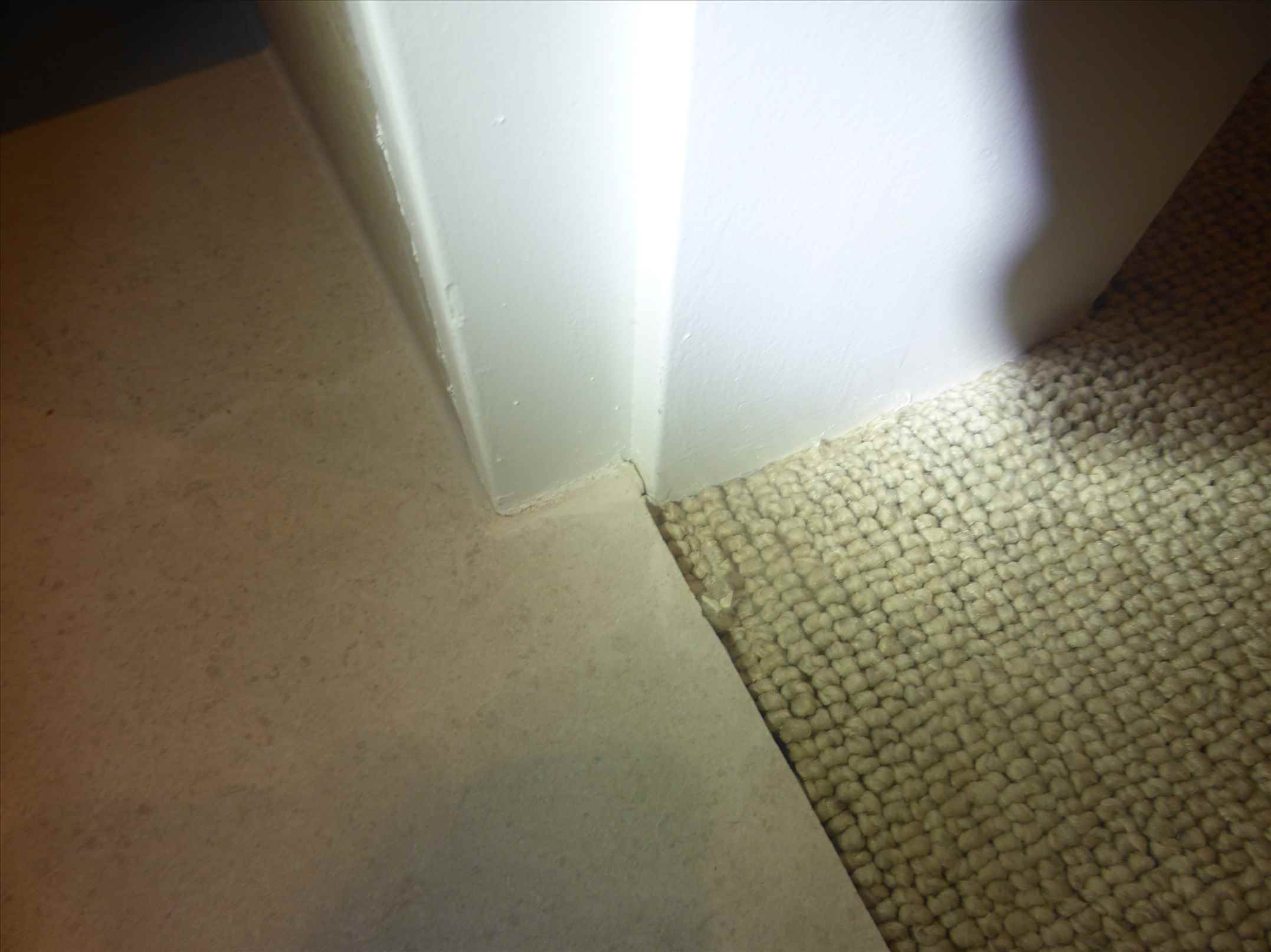 p1140770